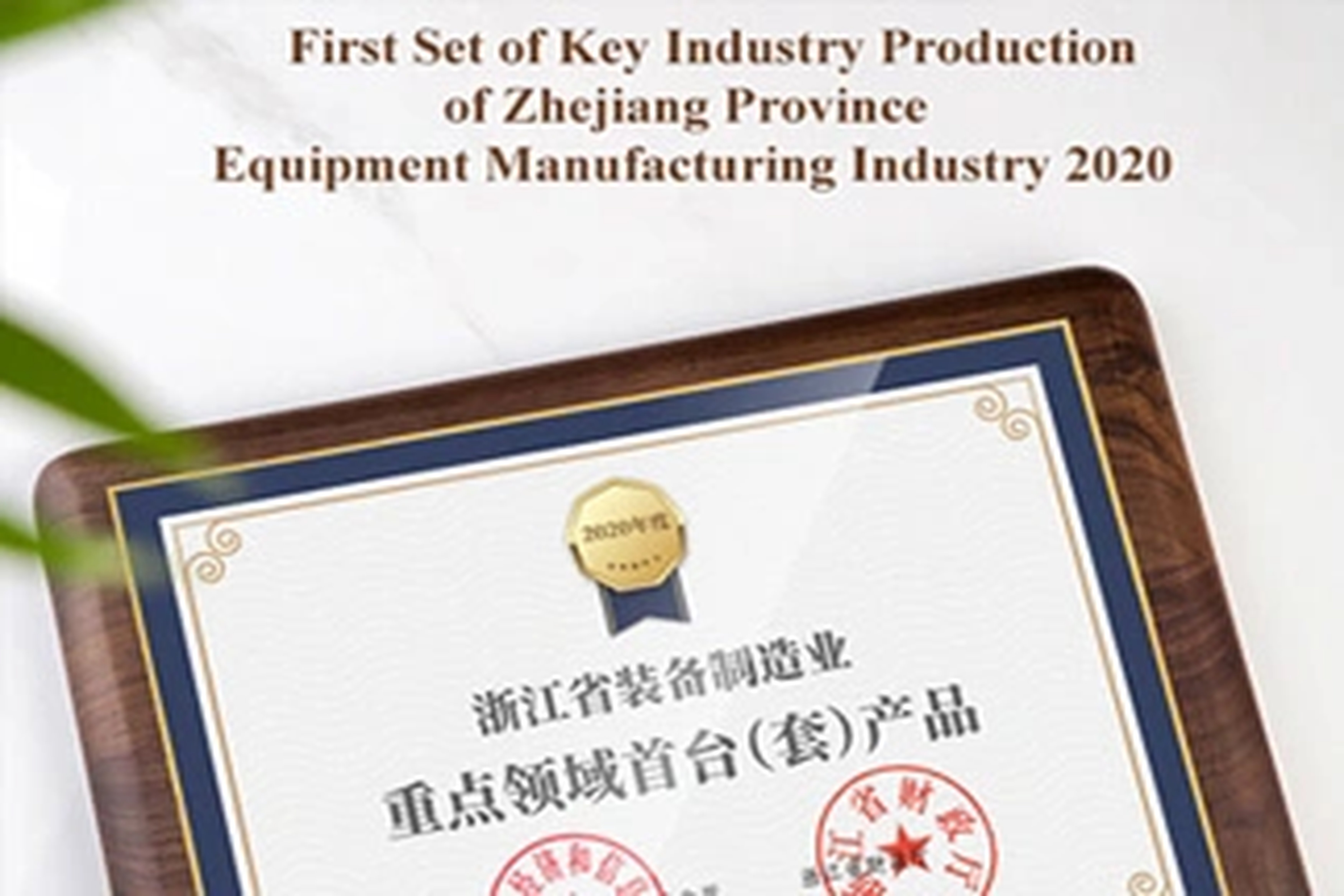 荣誉 | 球王会能源在2020年桐庐经济与产业发展大会上获得三项大奖！